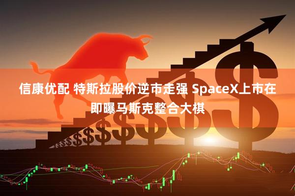 信康优配 特斯拉股价逆市走强 SpaceX上市在即曝马斯克整合大棋