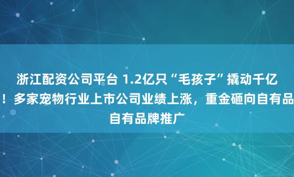 浙江配资公司平台 1.2亿只“毛孩子”撬动千亿元市场！多家宠物行业上市公司业绩上涨，重金砸向自有品牌推广